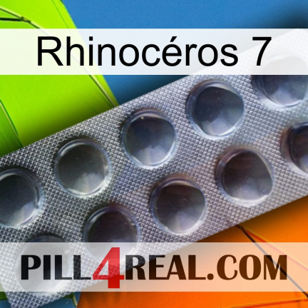Rhinocéros 7 30